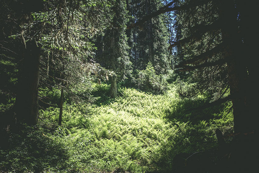 Tegensee6